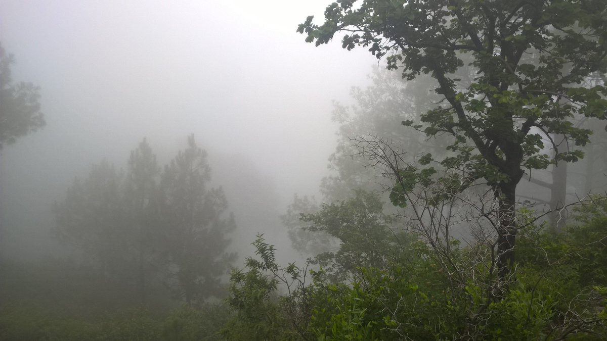 Rahber's tweet photo. Appreciate the nature. #hiking #BackToIslamabad #Margalla #Islamabad #NeverSayNever https://t.co/IDm5YuPKRO