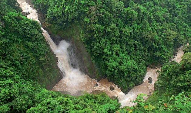 Khao Yai National Park [thailandtravel.co/en/national-pa…] via @ThailandTravel3 
#TravelTuesday