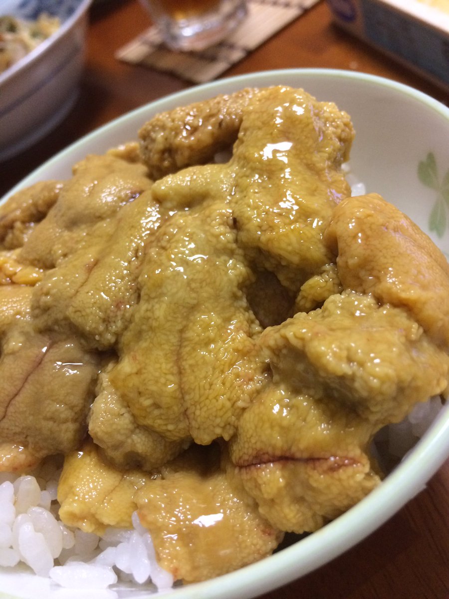 ウニ祭り
ほんの一瞬で終わりました。😚
しかし北海道のウニはあまーーーーーーくて最高でした😚
