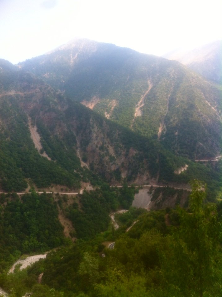 paraskevi_l's tweet photo. #Karditsa #argithea 🌲 https://t.co/4WxHXsUrrF