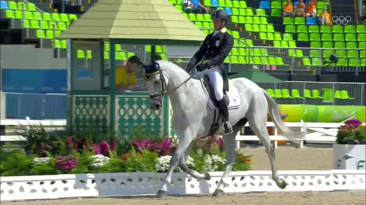 LudovicaBern's tweet photo. #SuperPeter @p_romaneventing #proudFriends Thanks to @CarolaBrighenti 4ThPic #EquestrianEventing #Rio2016 #TwoHearts https://t.co/mXL9VcDWPY