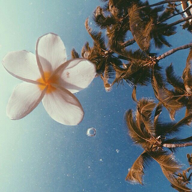 F_aton98's tweet photo. #Afatar 🌌💜 https://t.co/Ci6Risnsjb