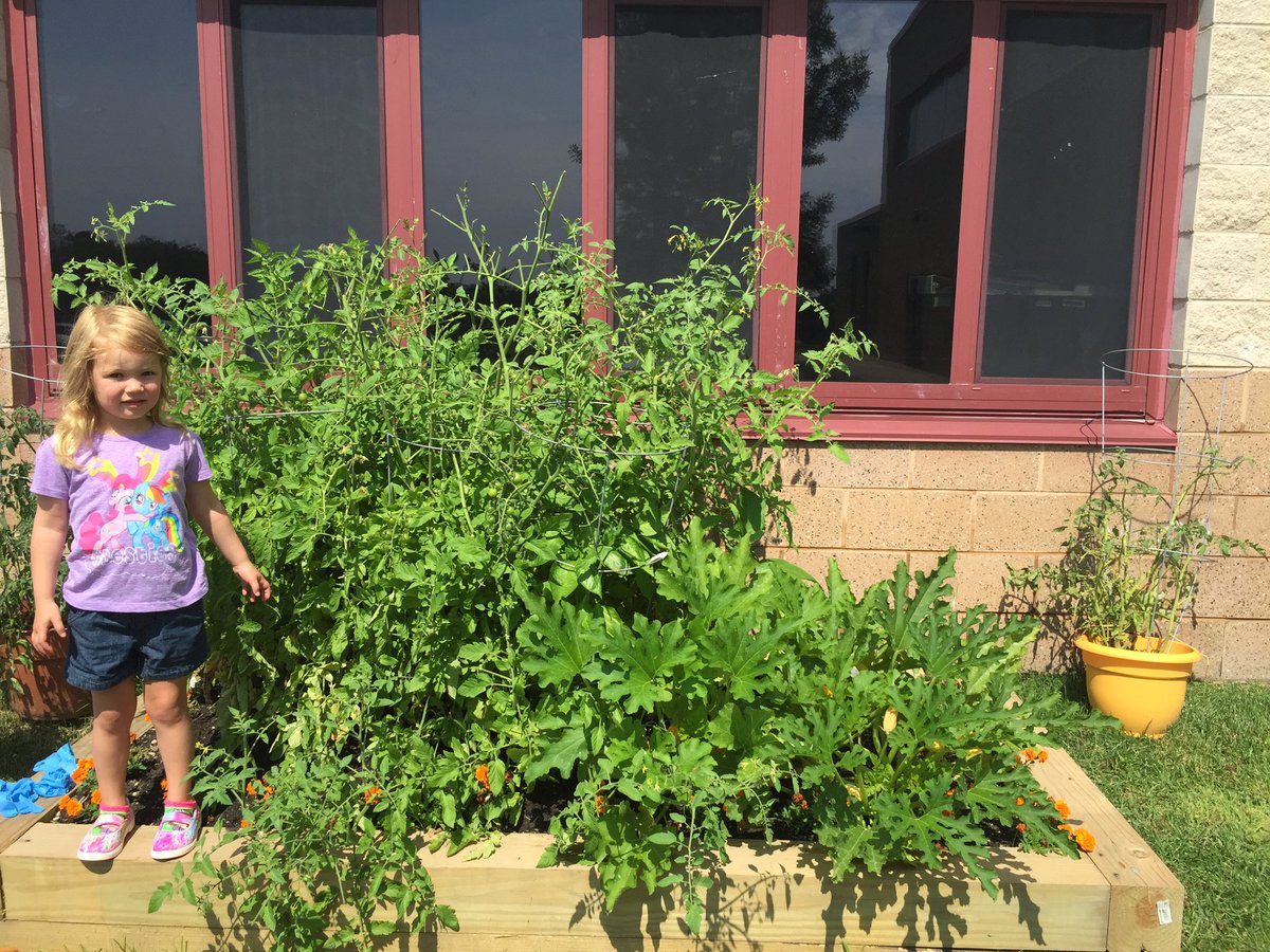 A little behind posting garden pictures from 7/25.