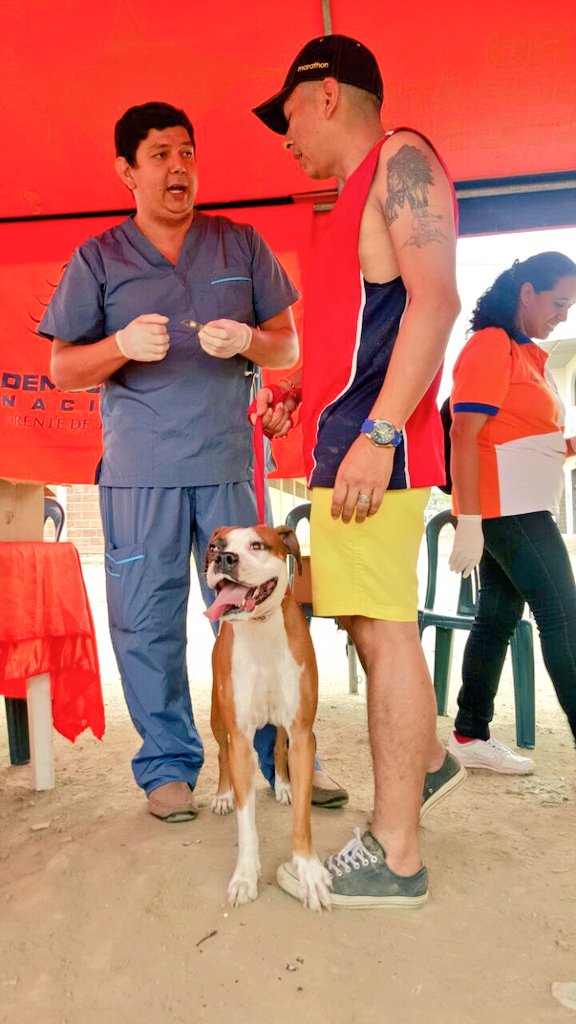 juventudescd1's tweet photo. Empezamos la campaña de desparasitación animal en la Coop. #MarcoSolis #Pascuales @cendemocratico @jimmyjairala https://t.co/ow8UBrU7g2