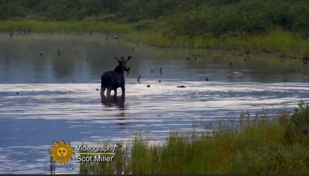CBSSunday tweet picture