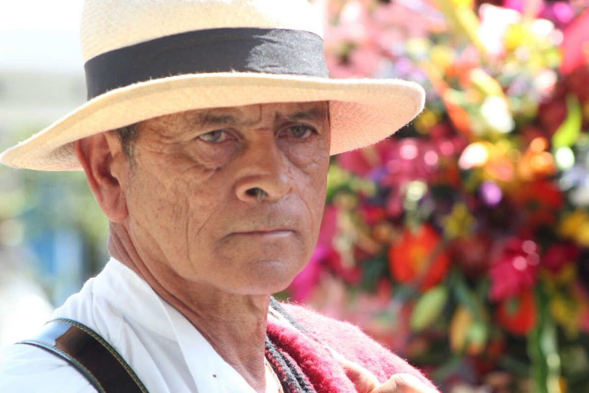 FeriaenMedellin's tweet photo. Nuestra cultura, nuestros silleteros nuestra gran alegría hecha tradición ¡Qué belleza! #FeriaDeLasFlores https://t.co/BtV16IxuFY