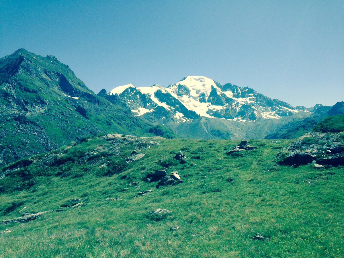 PhyllSimmons's tweet photo. Awesome food and rather stunning views @ Cabane Brunet. #alpineliving https://t.co/vrvpNLUgaA
