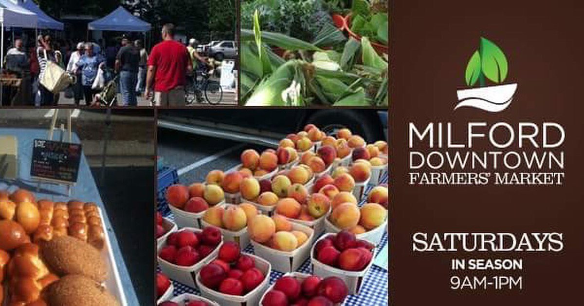 popcentricpops's tweet photo. #Milford #milforddowntownfarmersmarket #farmersmarket #saturdays #popcentric #gourmeticepops #popcentricpops https://t.co/Pxi9WjnZUt