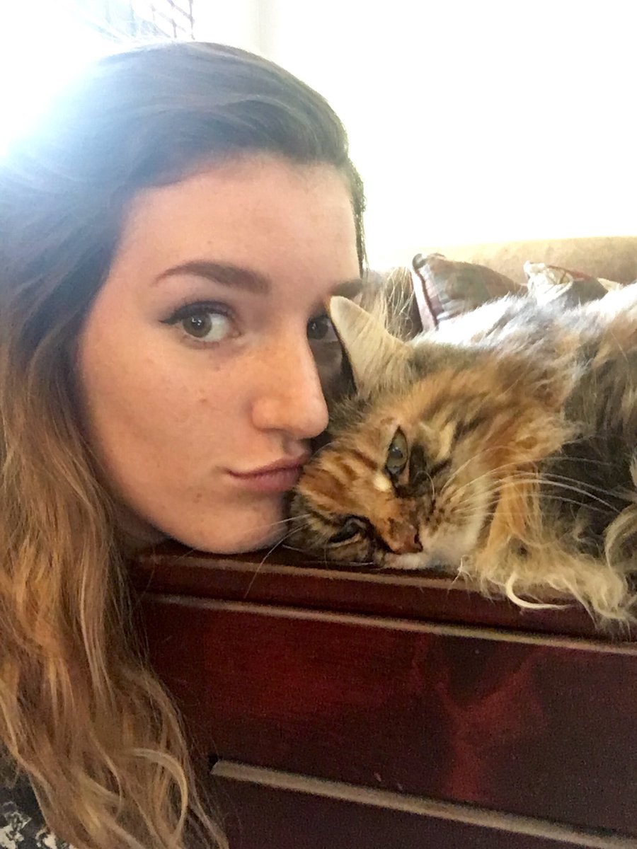 trashlen_twitch's tweet photo. This lil grouch and I are streaming #GW2 at https://t.co/7xhRe8PNAp in 5 min! #twitch @TwitchSharing @GirlsOfTwitch https://t.co/4CejzzrdfN
