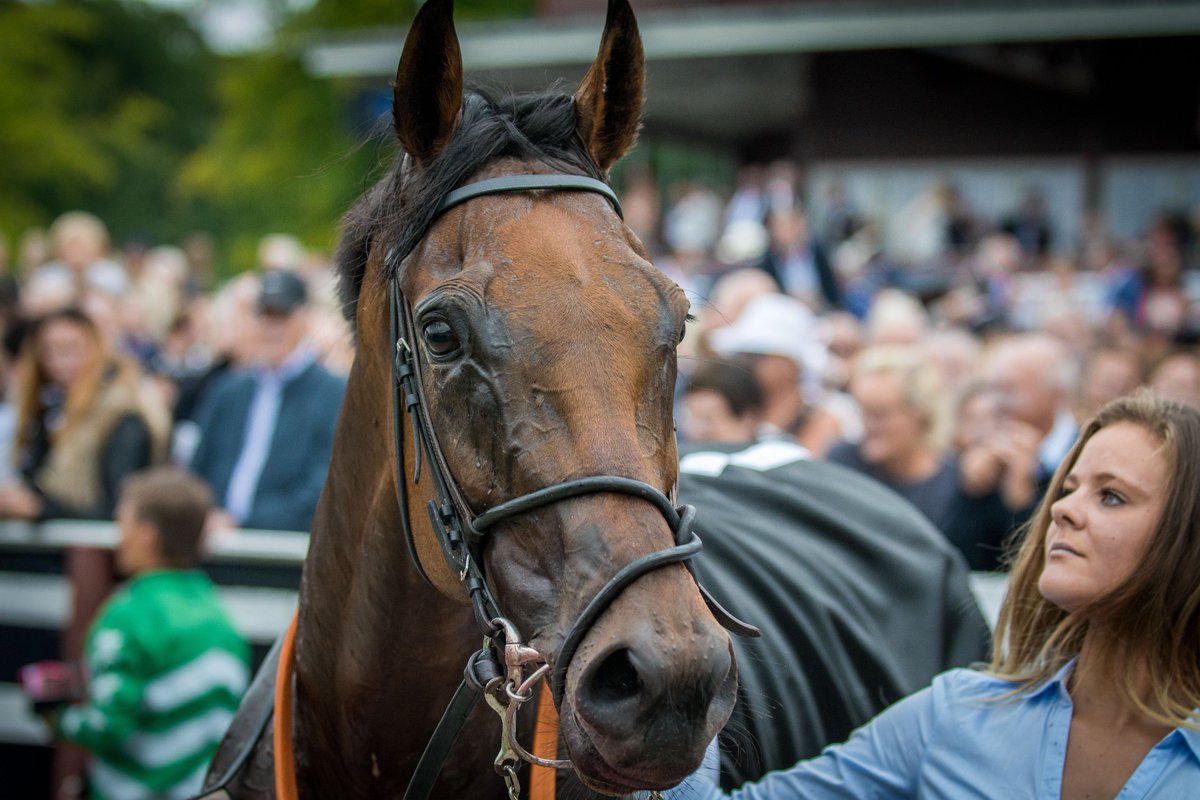 Scandinavian Racing tweet media