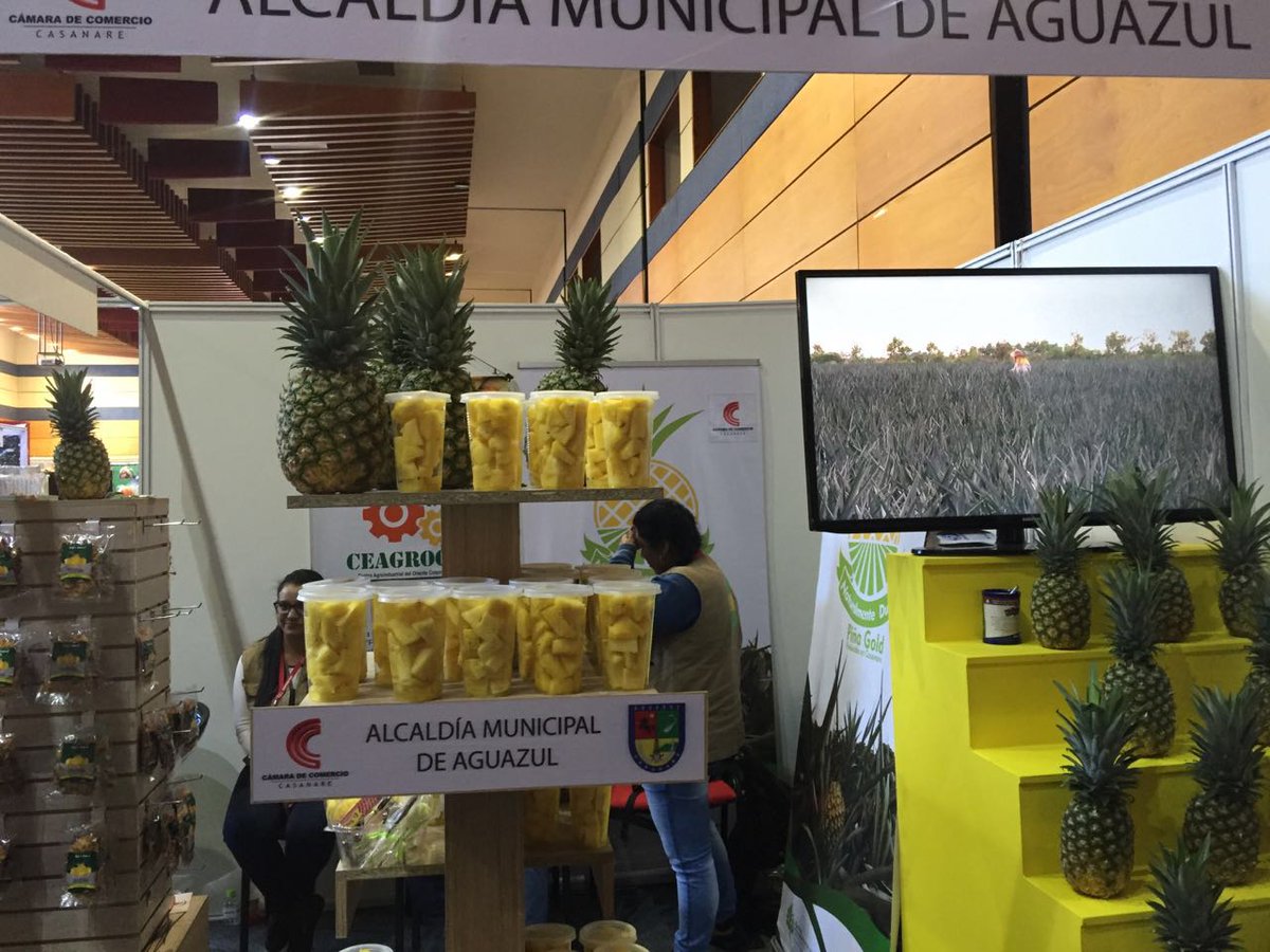CCCASANARE's tweet photo. @CCCASANARE y @alcaldiaaguazul presentes en #Expoboyaca2016 @SINERGIACCC @CCCompetitiva @renierpachonalc @nurygonz https://t.co/cB4PMK5YM7