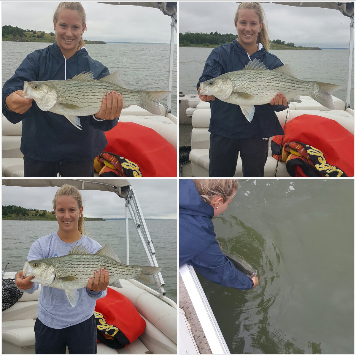 wiperfan's tweet photo. @sydneytrosper We braved the rain for some big Wipers this morning, including 28" and 29" hogs. #luv2fish #topwater https://t.co/2tyIW3PEOj