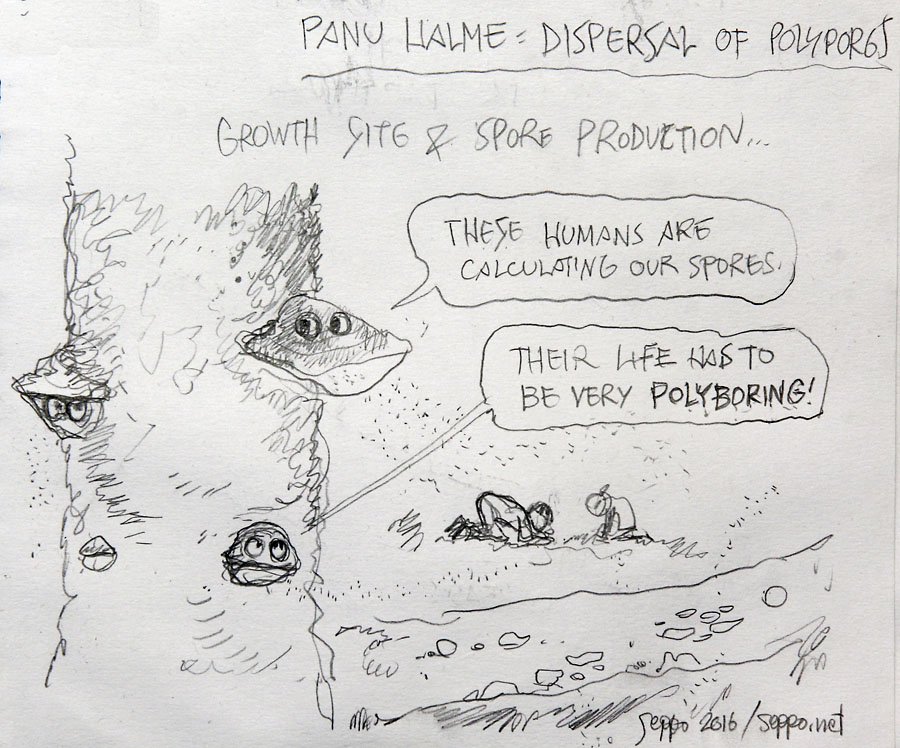 sepponet's tweet photo. Panu Halme: Variation in growth site and spore production of wood-inhabiting fungi https://t.co/Q0rXJrGkMn #DWML2016 https://t.co/bZWJYEnw6u