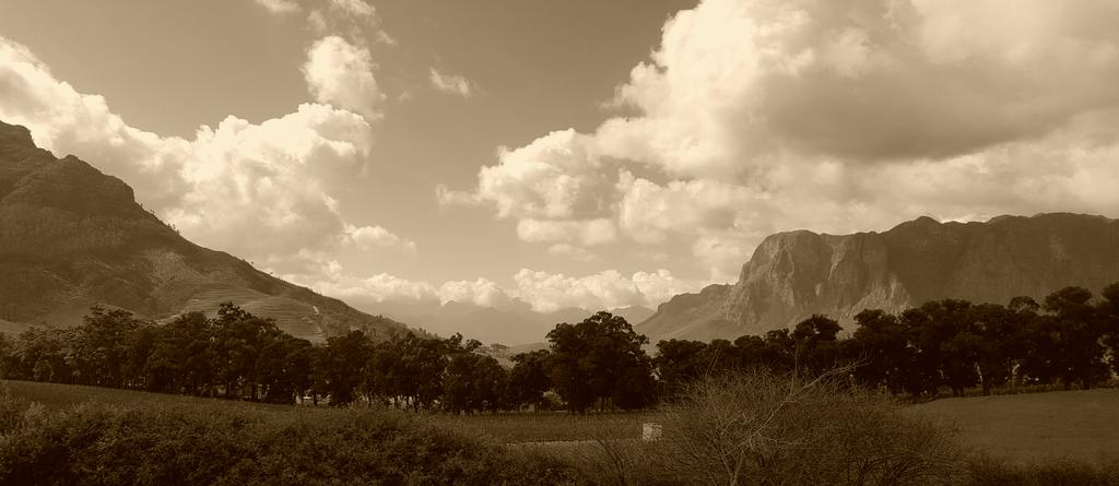 Junet Theron tweet media