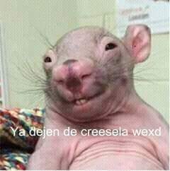 NoHackJustBaned's tweet image. 