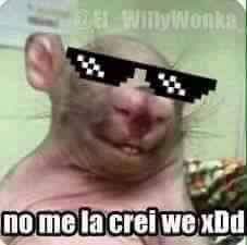 NoHackJustBaned's tweet image. 