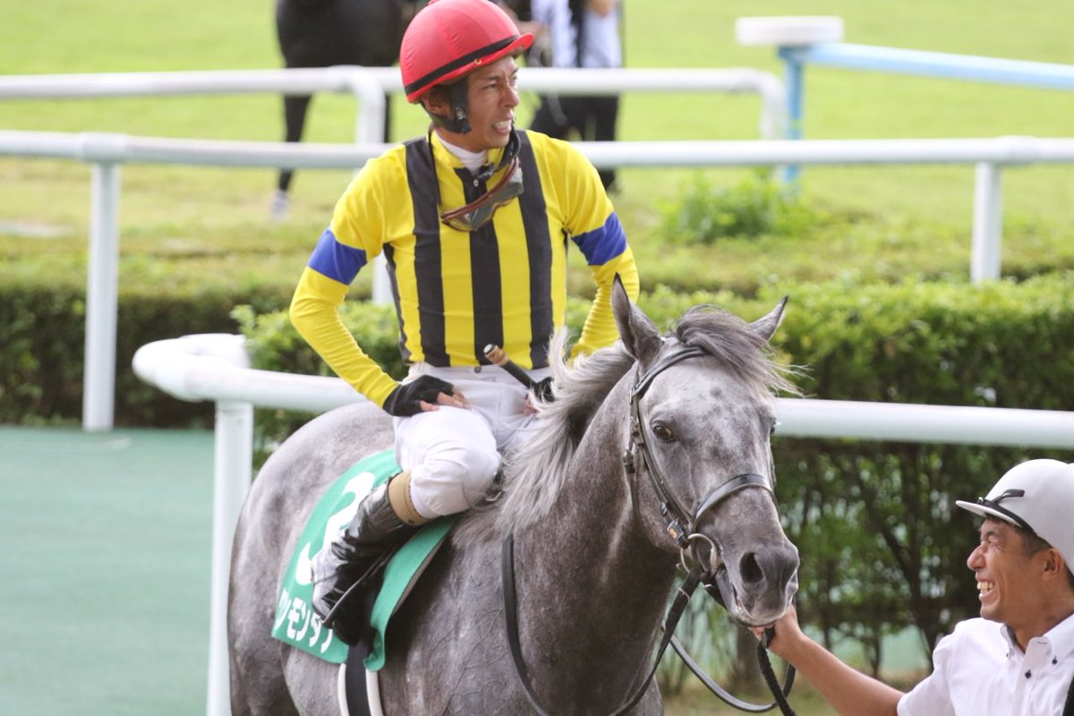 和田竜二さんといえば、牛のようだと言われたクーリンガーを追って