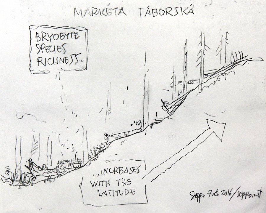 sepponet's tweet photo. Markéta Táborská: Bryophyte communities on #deadwood in c European natural forests https://t.co/s06jSfKBpQ #DWML2016 https://t.co/qmIC4zmLS0