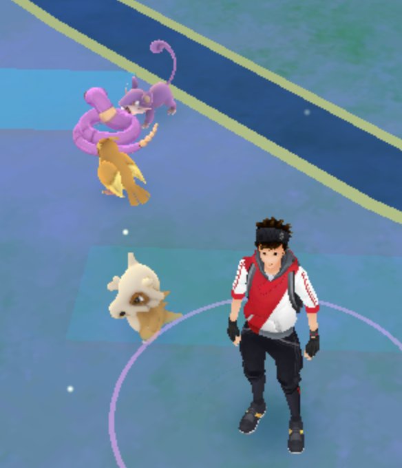Rattata et Roucool mangent un Abo pendant que Osselait attend patiemment pour devorer son âme. #PokemonGo