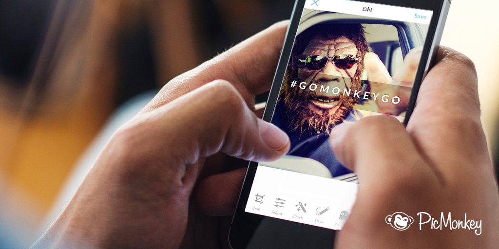 PicMonkey's tweet photo. We <3 the #gomonkeygo entries. Today's a new day with new prizes. Share your creations now! https://t.co/tBUFMEr4In https://t.co/Gv9IFnSM4X