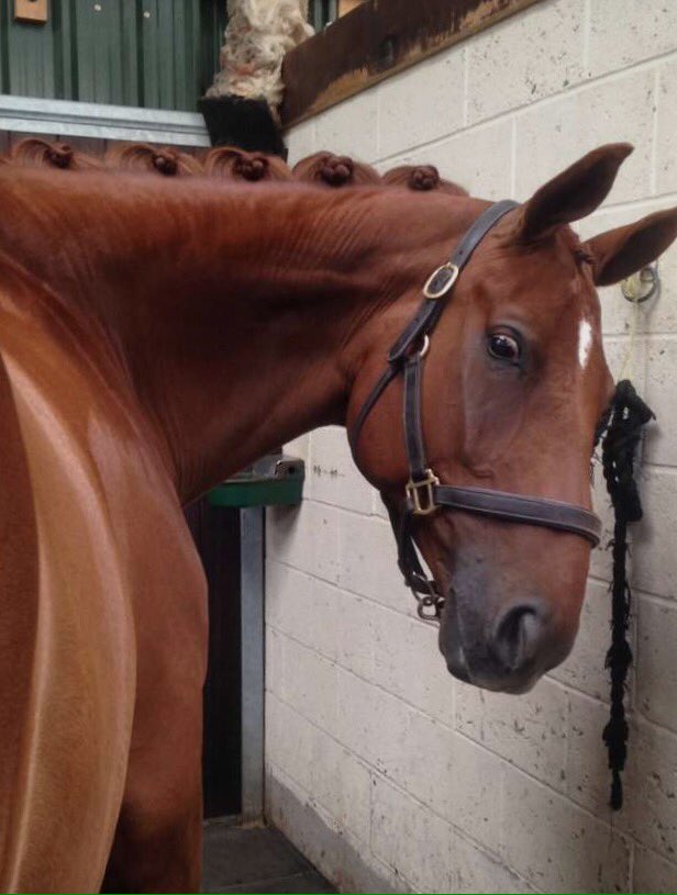 Hi there Frankie <a href="/BeMine2008/">Be Mine 😕</a>  #readytogoparty