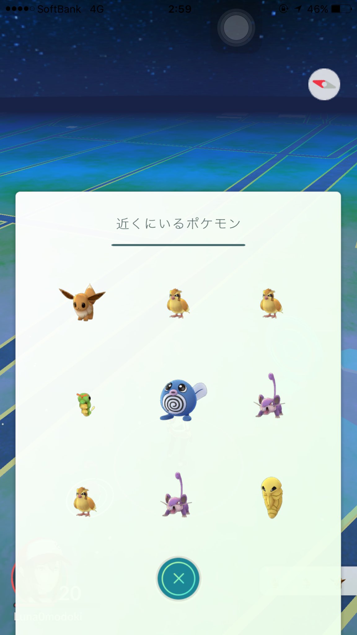 るな ポケgo垢 Luna0modoki Twitter