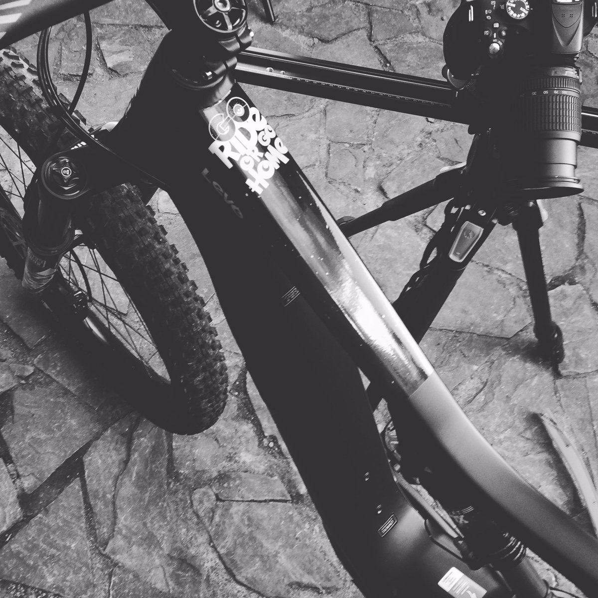 NaRowerBlog's tweet photo. First #pokemon #bicycle in the world is being born! #Pokemongo #rower #pokemony https://t.co/FVUKWooIwH