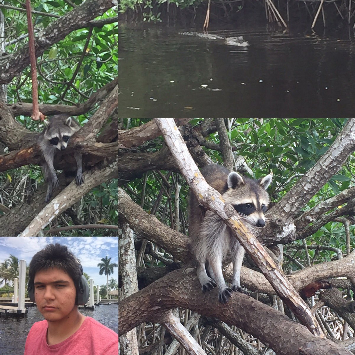 manylabs4me's tweet image. Last stop in Florida Animal sanctuary