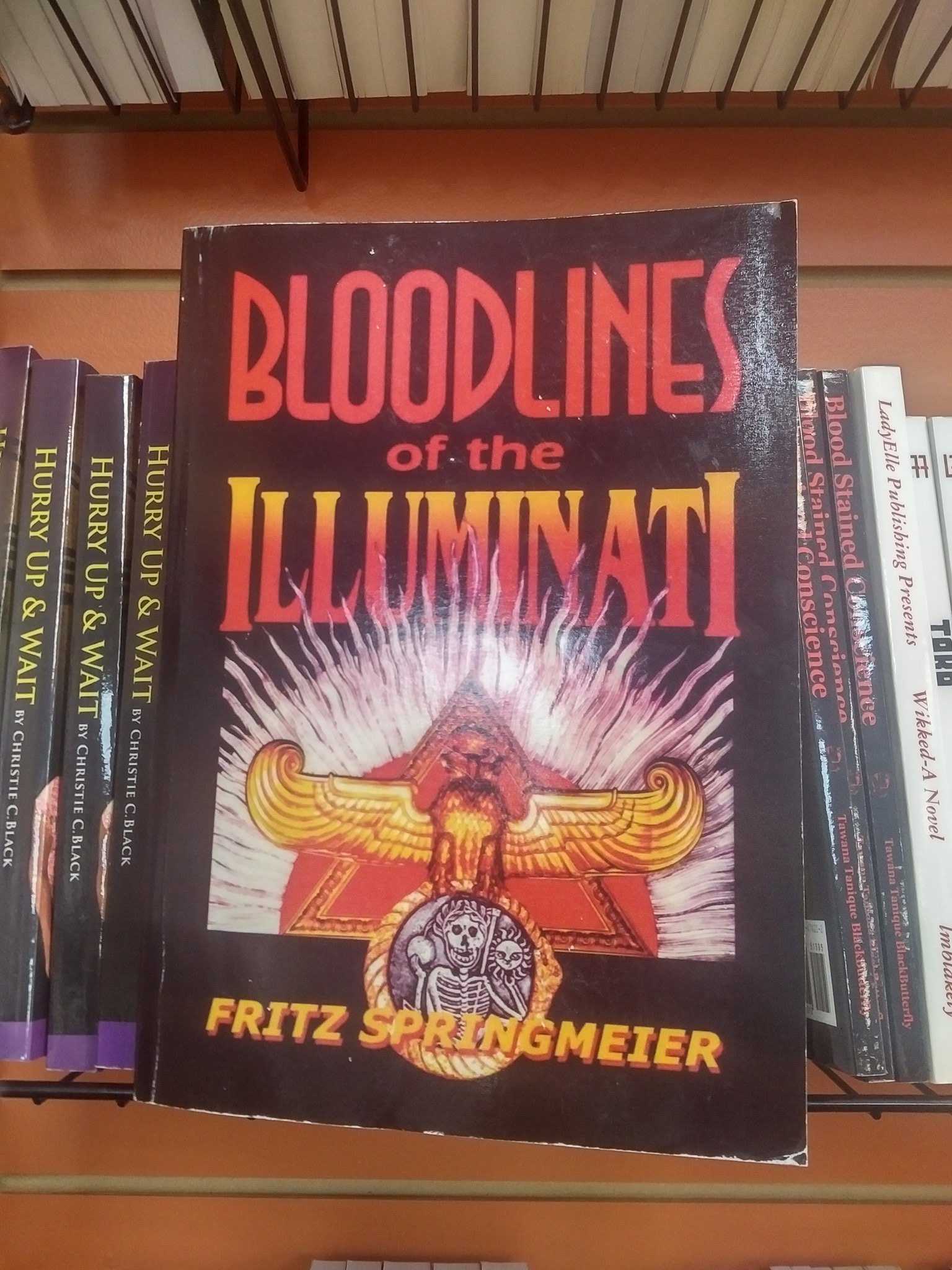 BLOODLINES OF THE ILLUMINATI by Fritz Springmeier (one