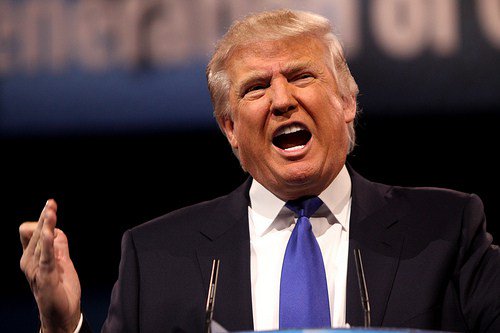 FirebrandLeft's tweet photo. What Would Donald Trump’s Presidency Look Like? https://t.co/6ruuylPR1x https://t.co/QUynIKbppN