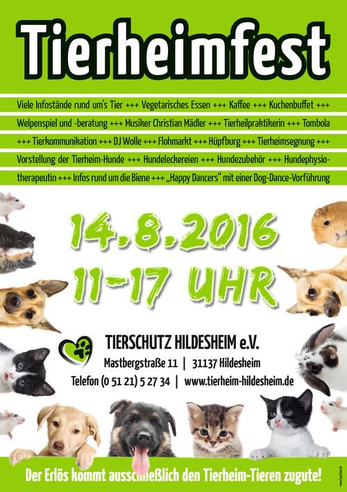 Finchen Inga (@fincheninga) on Twitter photo 