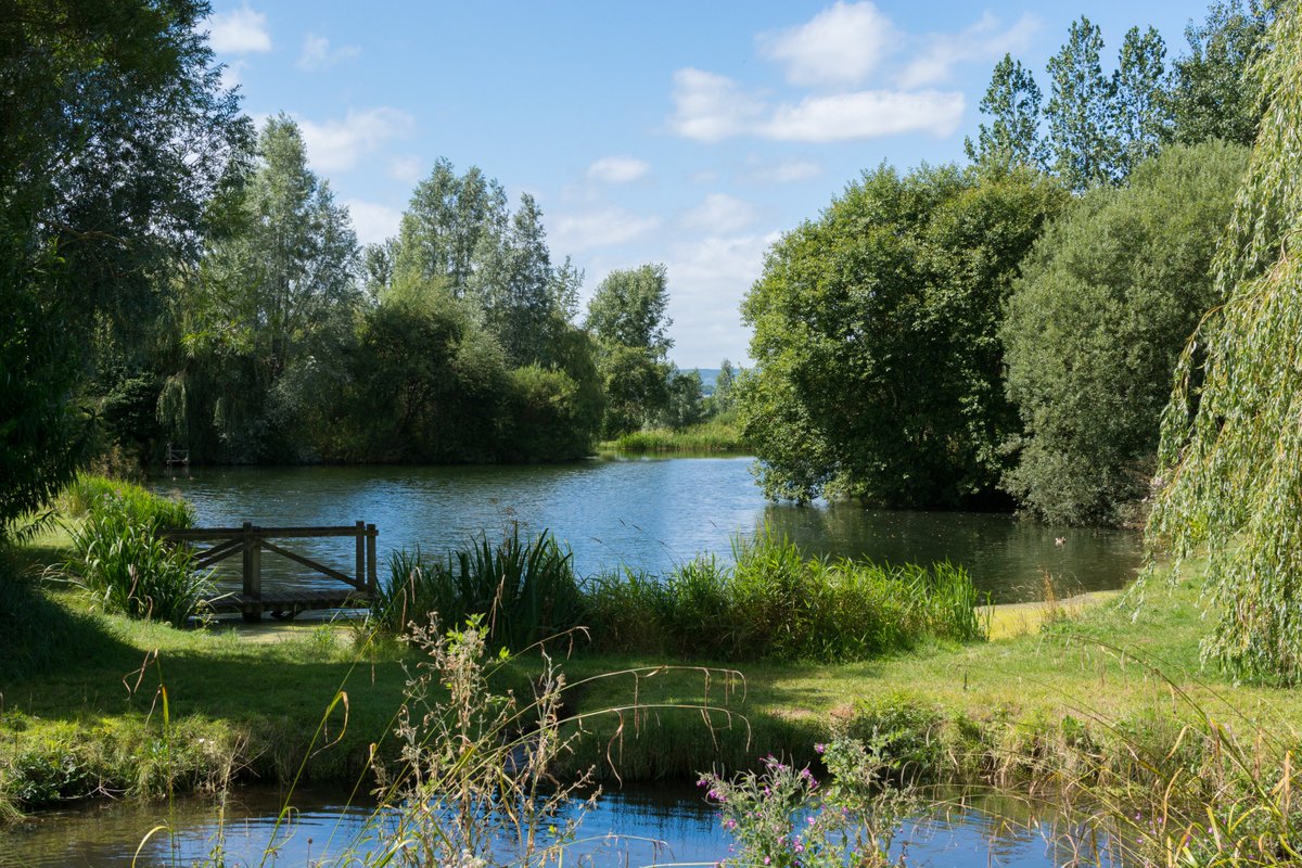 garyholc's tweet image. @Devon_Hour @VisitDevon @visitsouthdevon @GreatDevonDays @NatureInDevon Lower Bruckland Nature Reserve - beautiful!