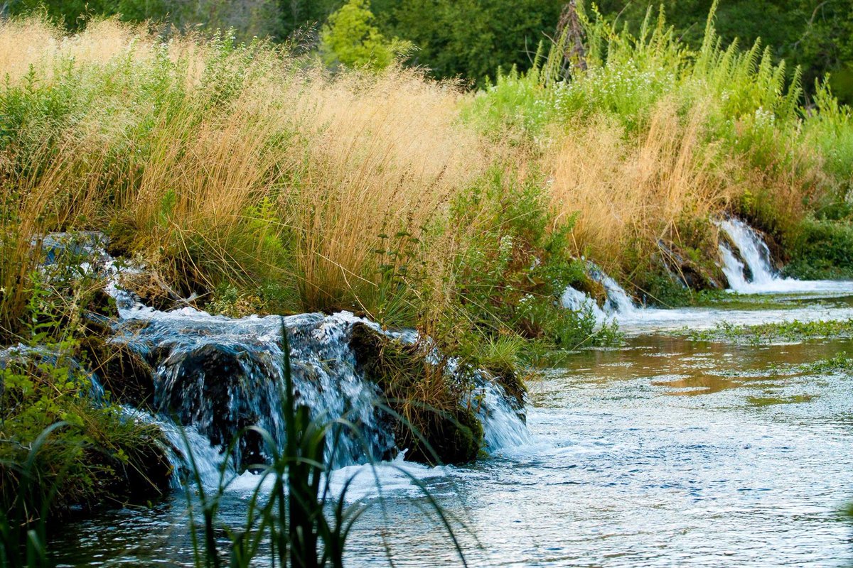 run_shan's tweet photo. I drank the water at Cascade Springs, it was delicious. Didn't get diarrhea *fist pump* https://t.co/isl9SETFN1