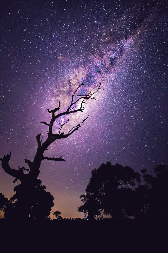 ~ Rising milky way ... ⭐°•*🌌*•°⭐
    By: Tim Wood. 
  
    #Wish