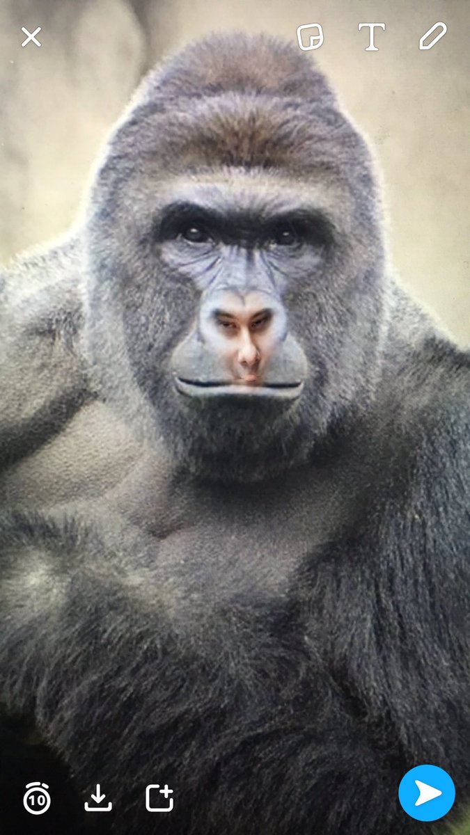 xxxmonarchy's tweet photo. @MartinShkreli #shkrambe https://t.co/cUtN8UJMiT
