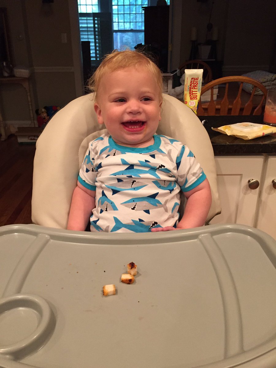 MichaelParnello's tweet photo. Oscar is ready for shark week! @truman_josh @DiscoveryEd https://t.co/GOdYyrPrD5