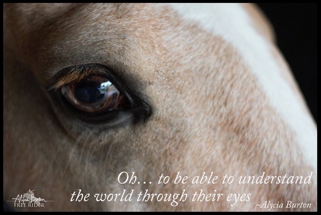 FreeRidingNZ's tweet photo. "Oh..To be able to understand the world through their" ~Alycia Burton
#freeridingnz https://t.co/v2wbsAngC2