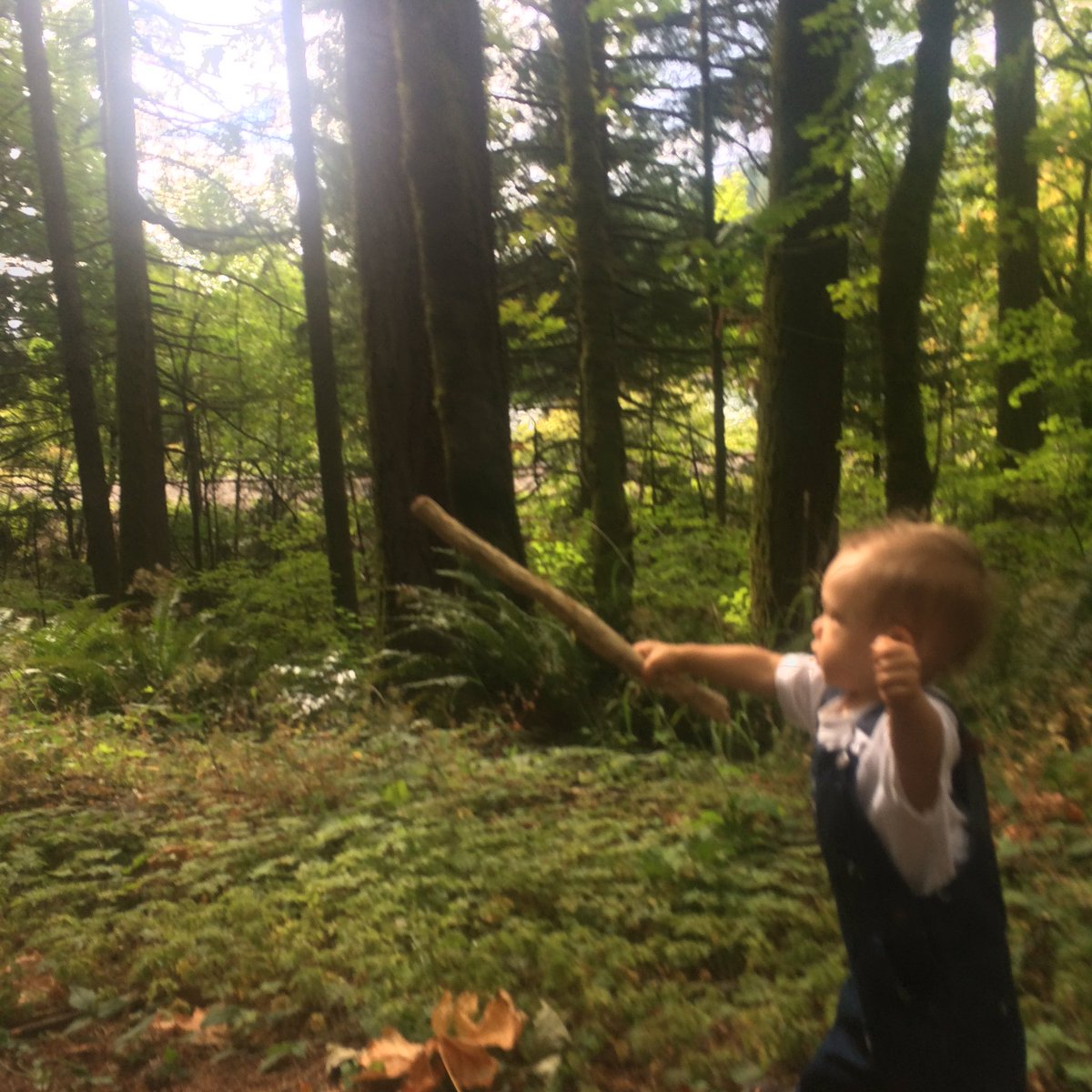 djberkey's tweet photo. Training my nephew for hogwarts. #wizzardnephew https://t.co/3T4kQR4ElQ