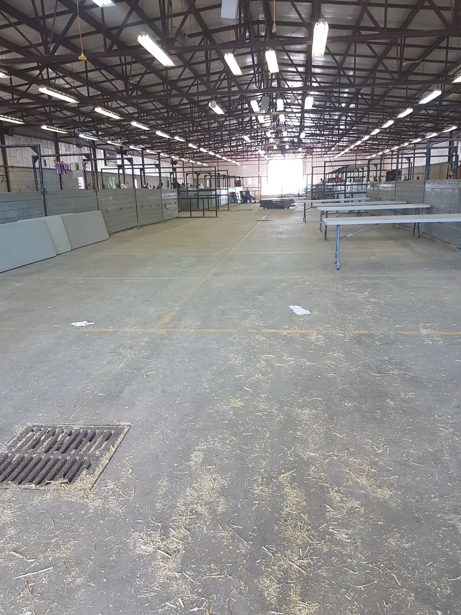 SwiftBusiness1's tweet photo. Goats and sheep are all going home. See you next year. #ExMarksTheSpot https://t.co/7sp6grt6Cm