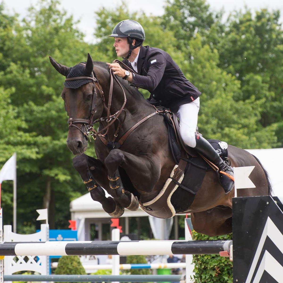 VP Equestrian Center tweet media