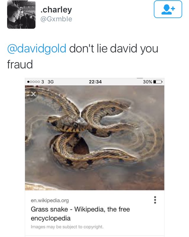 West Ham owner David Gold cementing his place as the weirdest bloke ever with this entirely unnecessary lie. #WHUFC