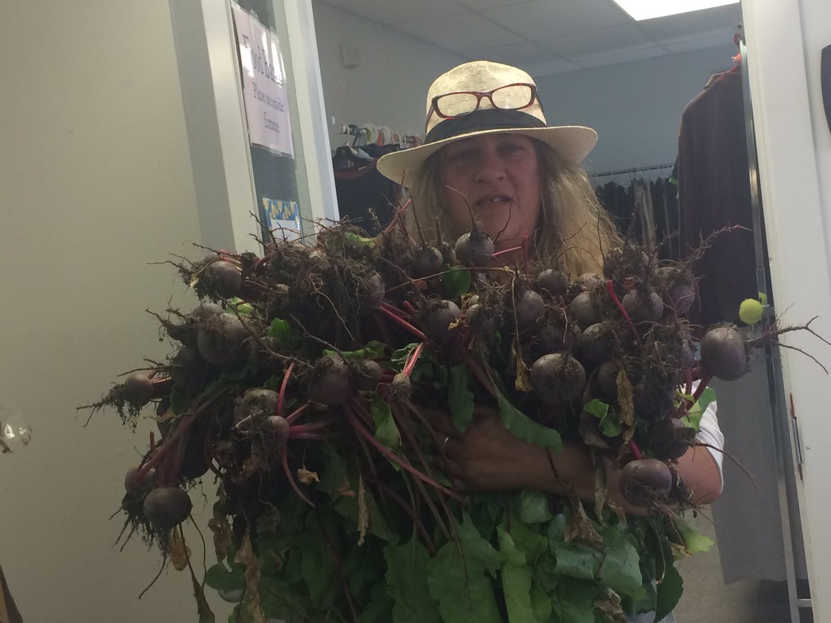 GardenGroceries's tweet photo. For the @HouseofLazarus1 food bank ❤️ https://t.co/a9BeMwRykr
