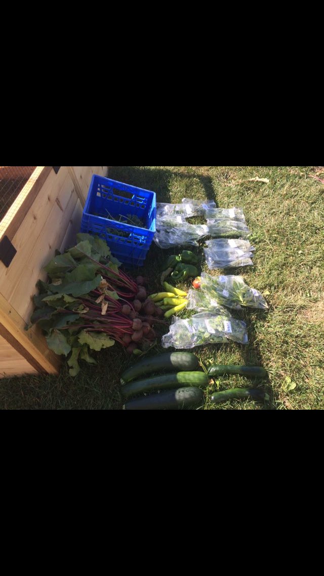 GardenGroceries's tweet photo. For the @HouseofLazarus1 food bank ❤️ https://t.co/a9BeMwRykr