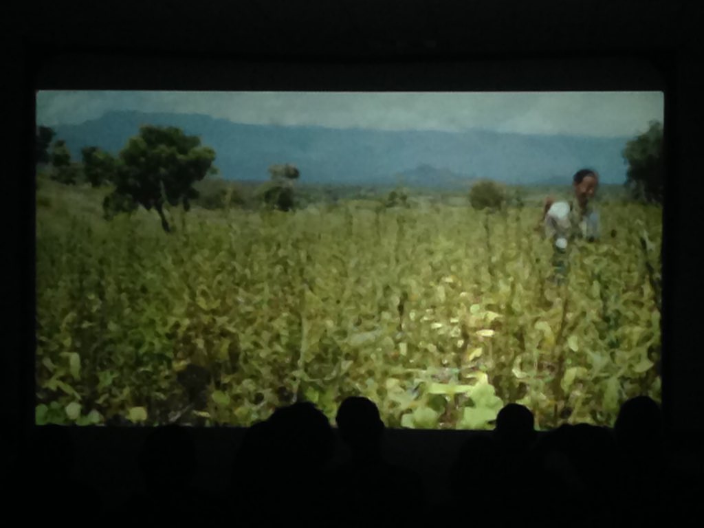 MaishaFilmLabs's tweet photo. Closing Film: LAMB, the first Ethiopian film selected at Cannes, directed by Yared ZELEKE ( @YaZeleke ). #MAFF2016 https://t.co/cXIXMkBWA3