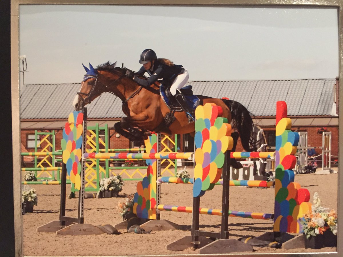 leanneholmes79's tweet photo. Chippi in the 7 year old final. #expressequine #aviform #blissoflondon https://t.co/g6jSaCIyFh