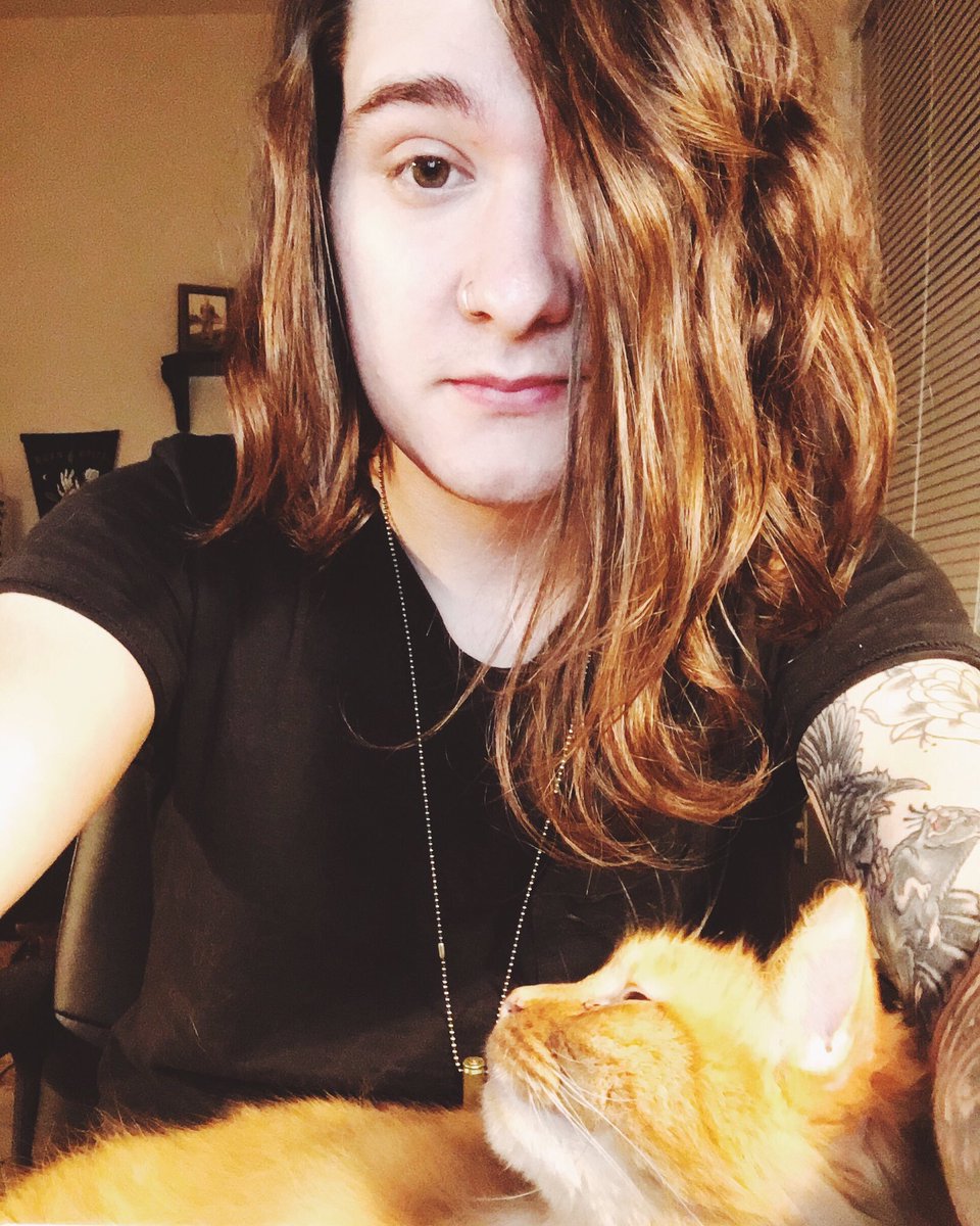 PDmounttyrant tweet picture