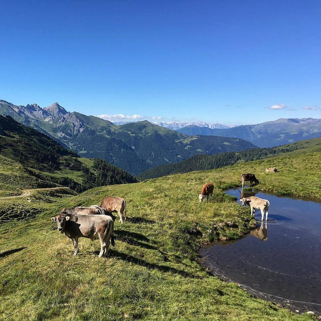 Die Kuiselen vom Trunajoch - mit Blick Richtung #serles und #blaser, dahinter #patscherkofel und #nordkette, davor …