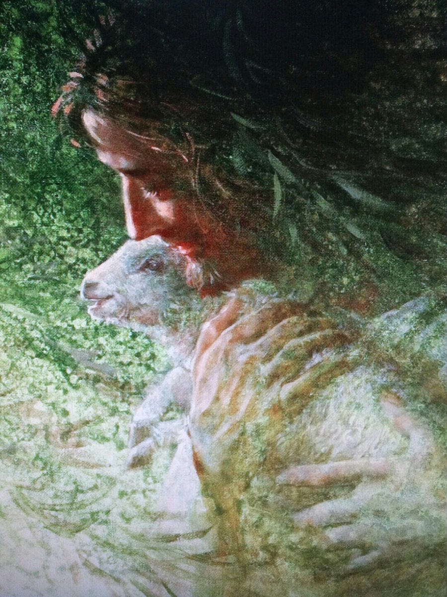 sunny park 선주 (@sunjupark3) on Twitter photo 