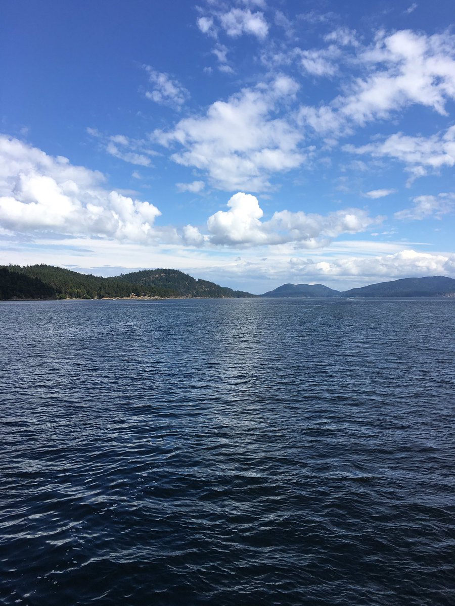 RhythmandCello's tweet image. The view from here. #BeautifulBC #BestCoast #CalmAftertheStorm