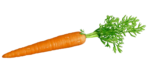 Cece_is_A's tweet photo. They're both about to fall off a cliff. You can only save one. Who?
RT for this tasty carrot
Like for Marlene King https://t.co/1ctH782wtr